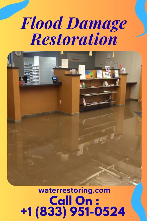 Flood Damage Restoration in Lockhart, SC