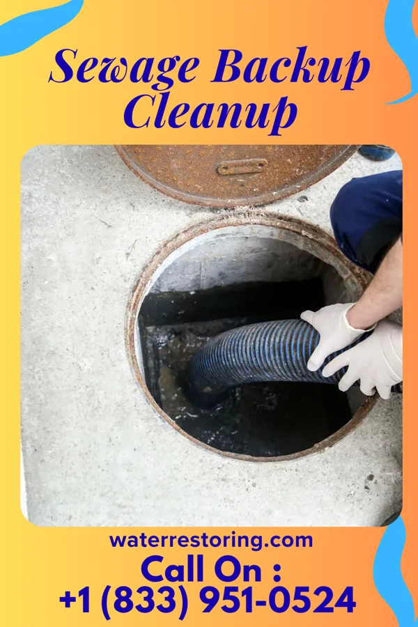 Sewage Backup Cleanup in Lockhart, SC