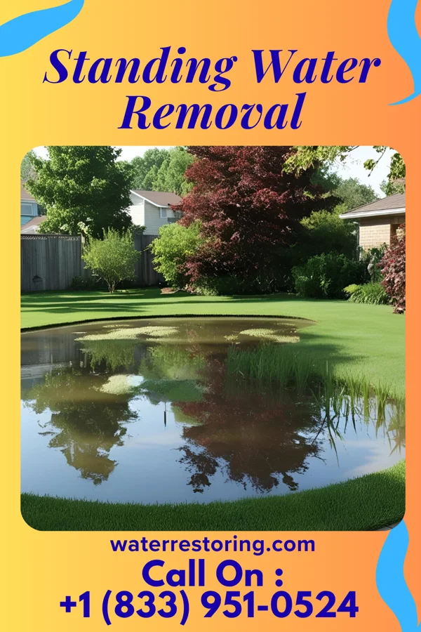 Standing Water Removal in Lockhart, SC